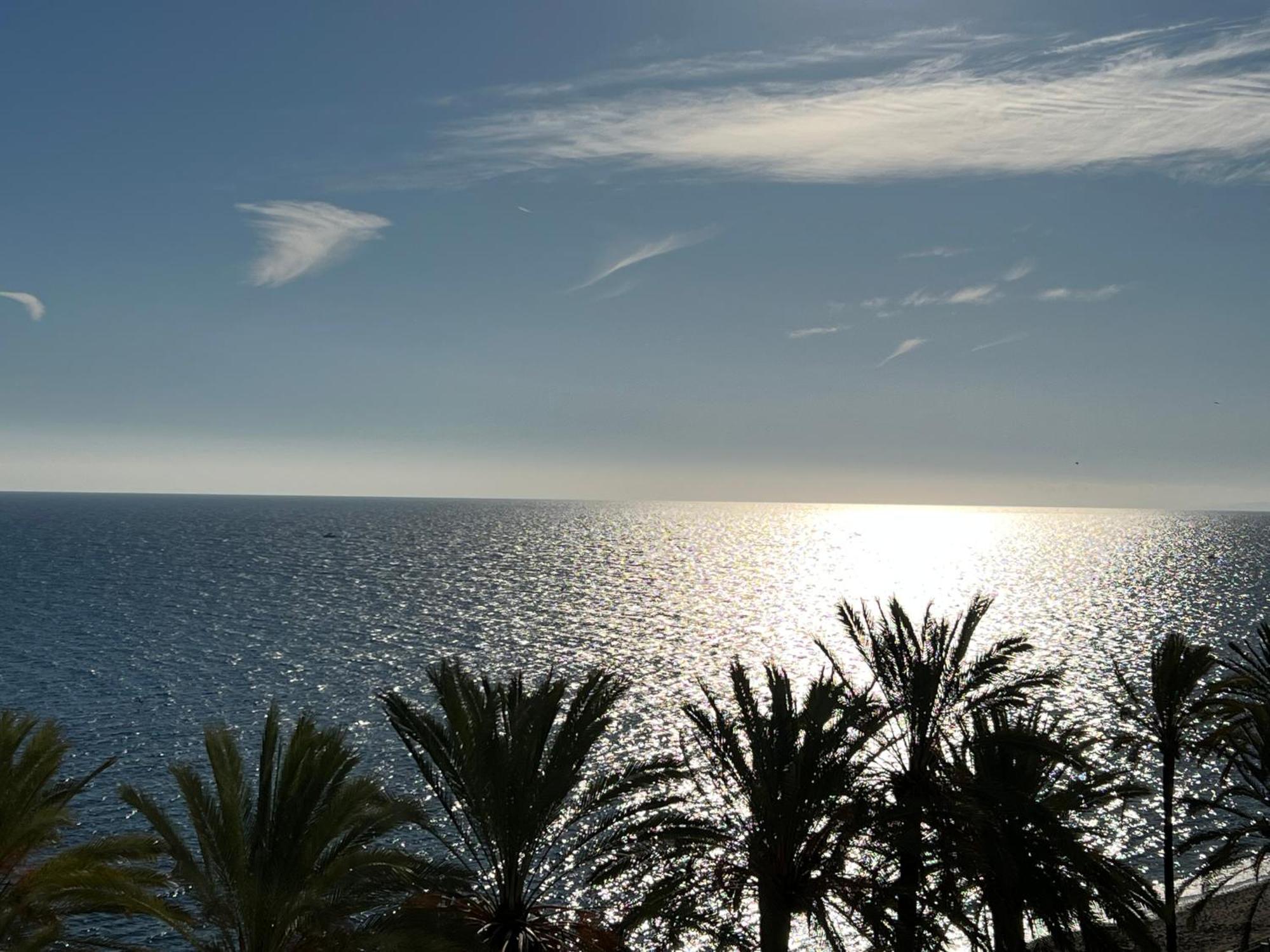 Las Palmas 1 Marbella Eksteriør billede